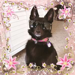 Meet your Posher, Beth